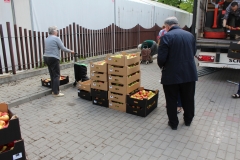 IMG-0241a