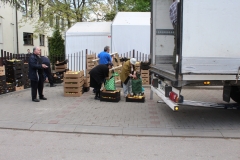 IMG-0242a