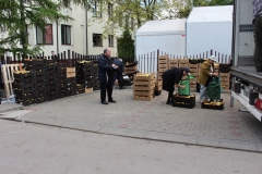 IMG-0243a